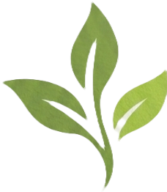 Purlifenourish.com